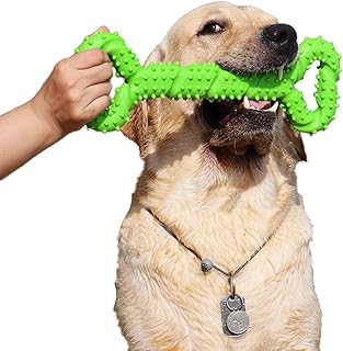 atopo Robustes Hundespielzeug 13 Inch Knochen geformt Kauspielzeug aus Hartgummi mit Konvexes Design stark interaktives Spielzeug für große kleine Hunde, Zähne reinigen und Zahnfleisch massieren