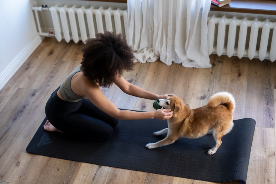 Ist das Ablecken von Matten gut für Hunde? – Praxis-Überblick