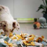 Schnüffelteppich selber machen – Praxis-Überblick