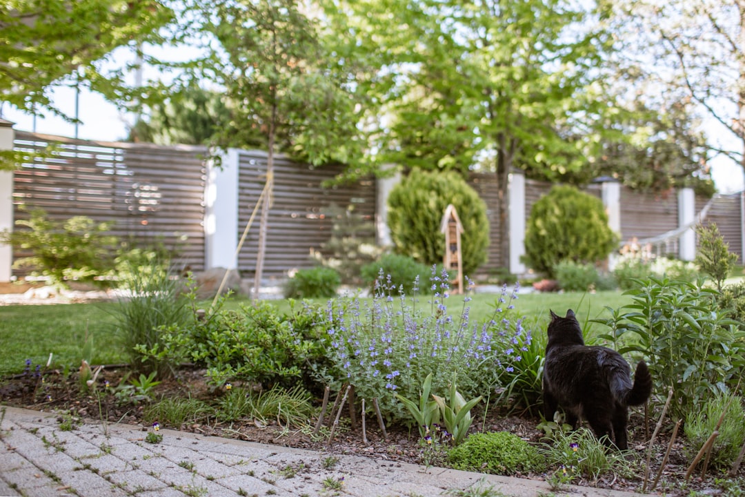 Spezialfälle Hund alleine zu Hause Auslastung trotz Leine – Wie kann ich meinen Hund den ganzen Tag beschäftigen?