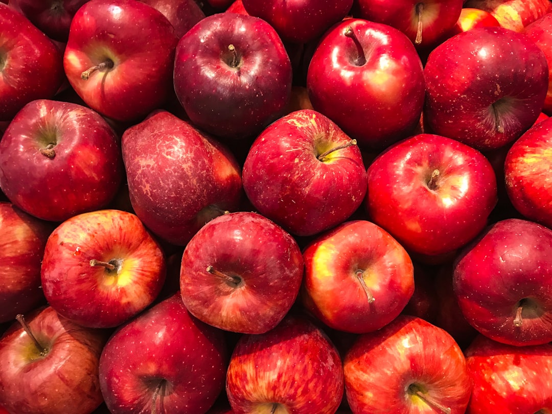fresh red apples fruit