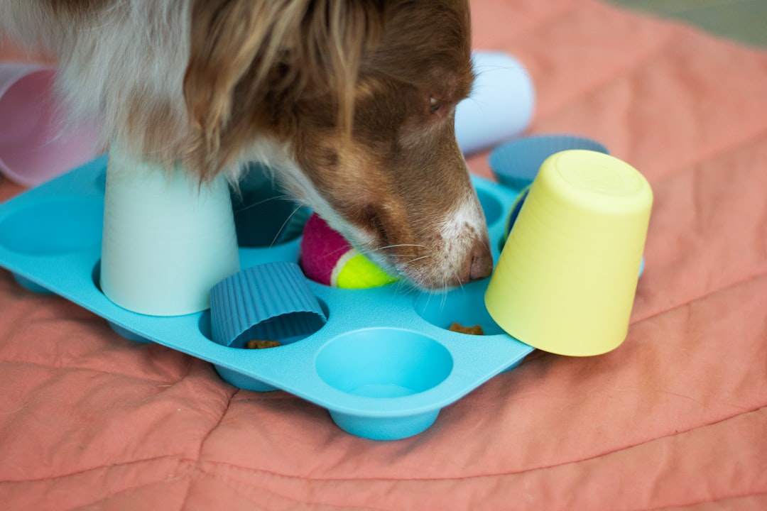 dog lick mat peanut butter