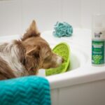 Was schmiert man auf eine Schleckmatte Hund? (2026) – Praxis-Überblick
