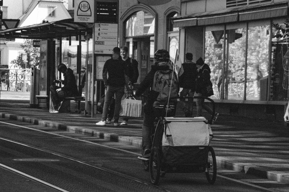 Federung und Fahrkomfort – Fahrradanhänger für Hunde: worauf es ankommt