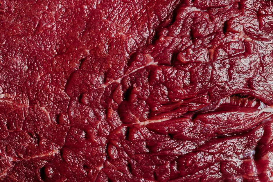 BARF-Fleisch richtig portionieren bevor es in den Vakuumierer kommt – Vakuumierer für BARF: Fleisch portionieren und